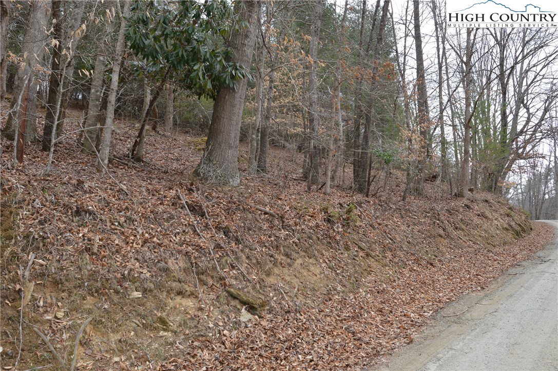 Lot #9 Isabel Way Property Photo 3