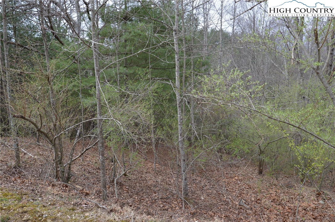 Lot #9 Isabel Way Property Photo 6