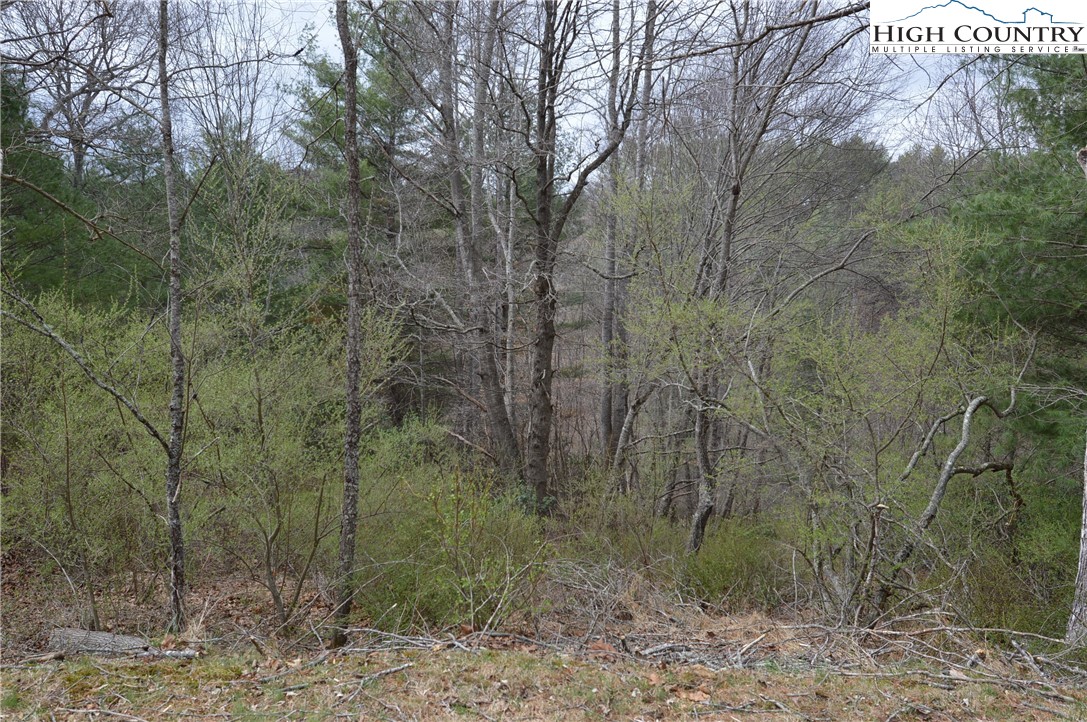 Lot #9 Isabel Way Property Photo 7