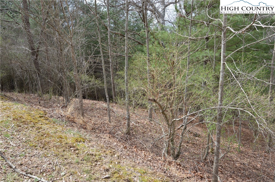 Lot #9 Isabel Way Property Photo 8