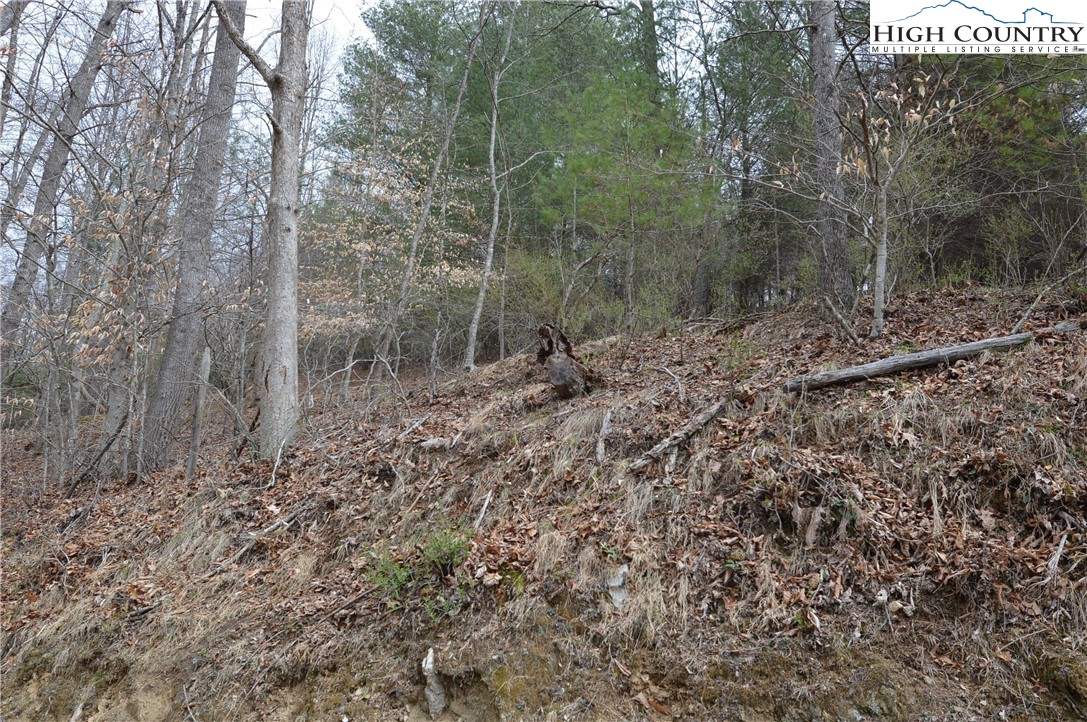 Lot #9 Isabel Way Property Photo 9