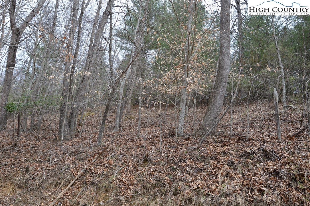 Lot #9 Isabel Way Property Photo 10