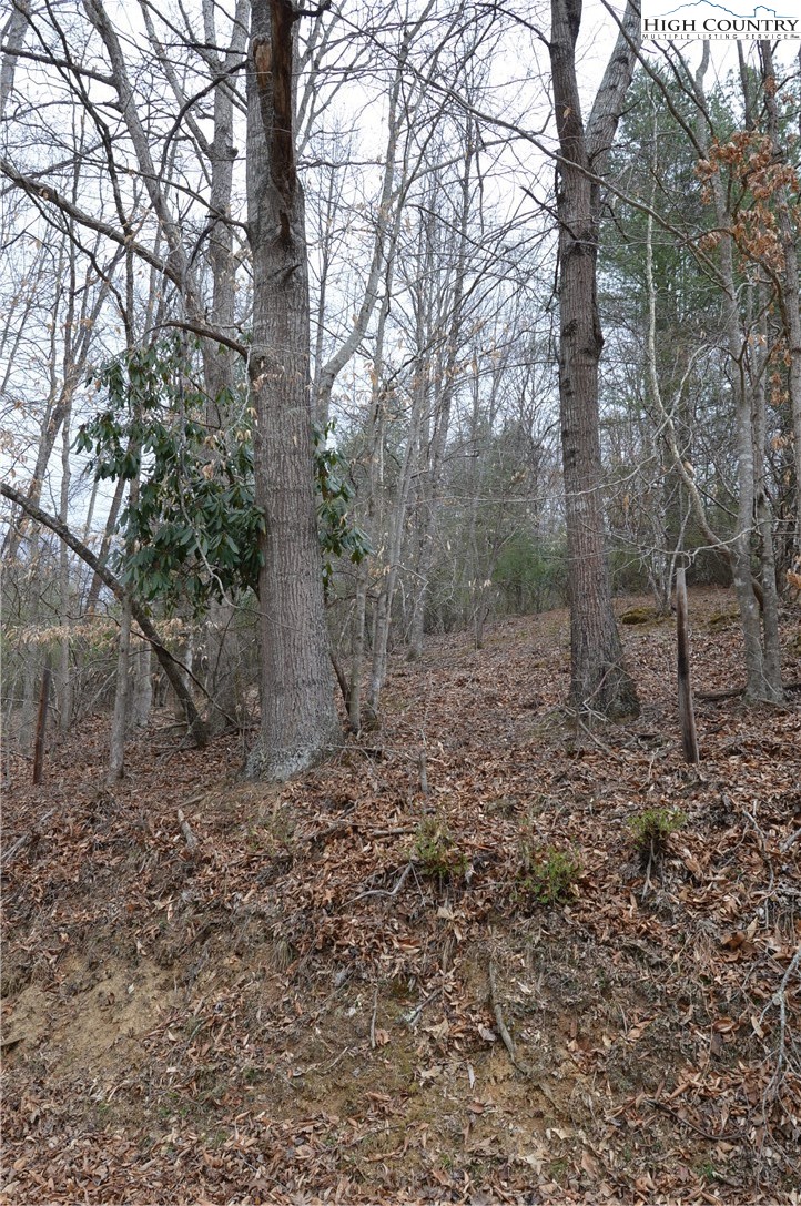 Lot #9 Isabel Way Property Photo 11