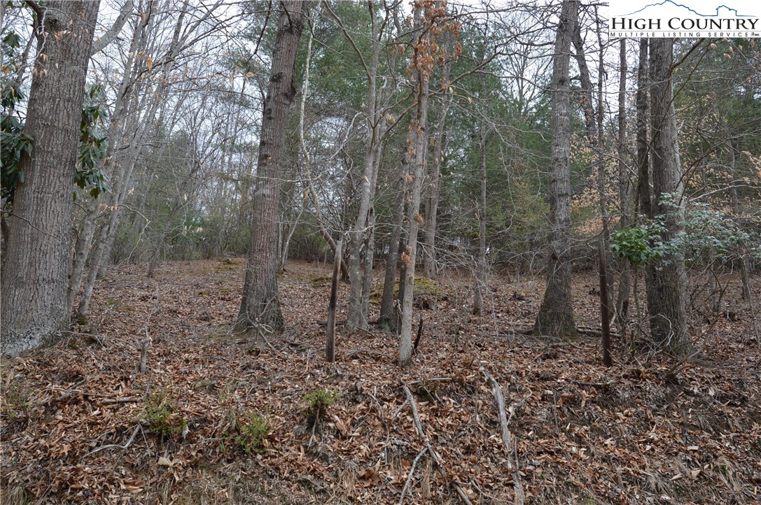 Lot #9 Isabel Way Property Photo 12