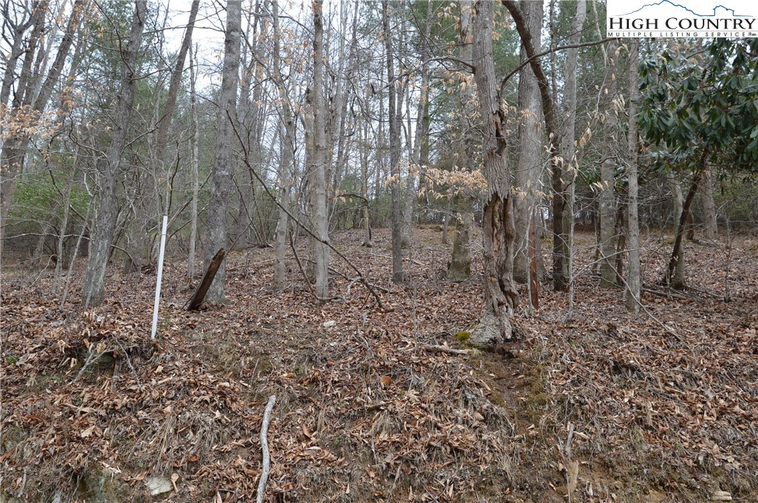 Lot #9 Isabel Way Property Photo 13