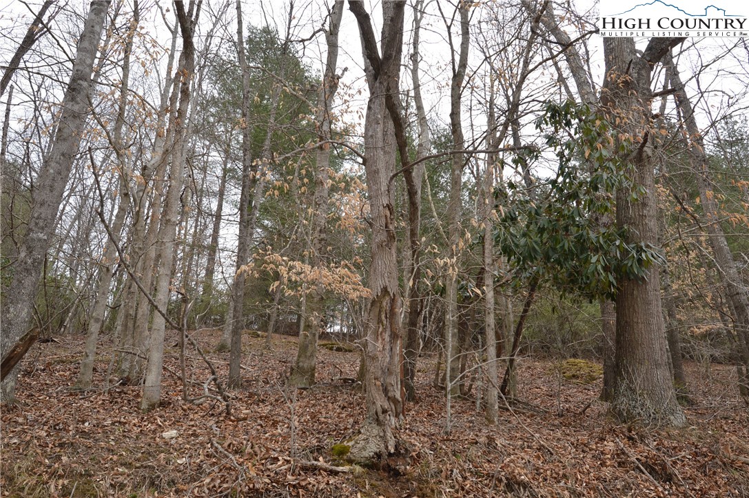 Lot #9 Isabel Way Property Photo 14
