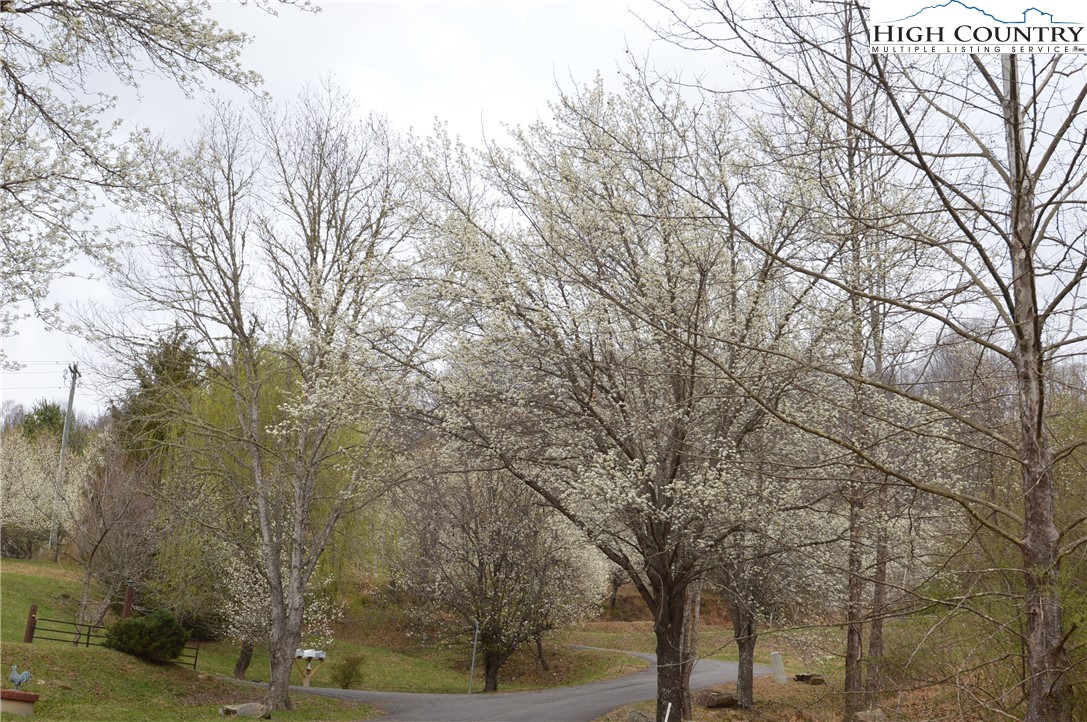 Lot #9 Isabel Way Property Photo 28