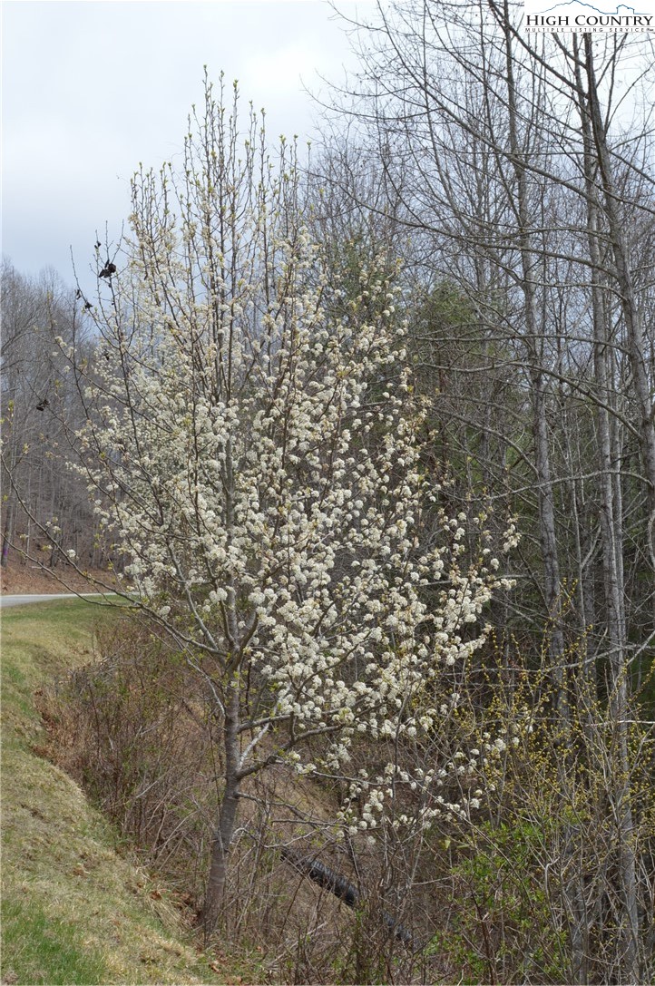 Lot #9 Isabel Way Property Photo 29