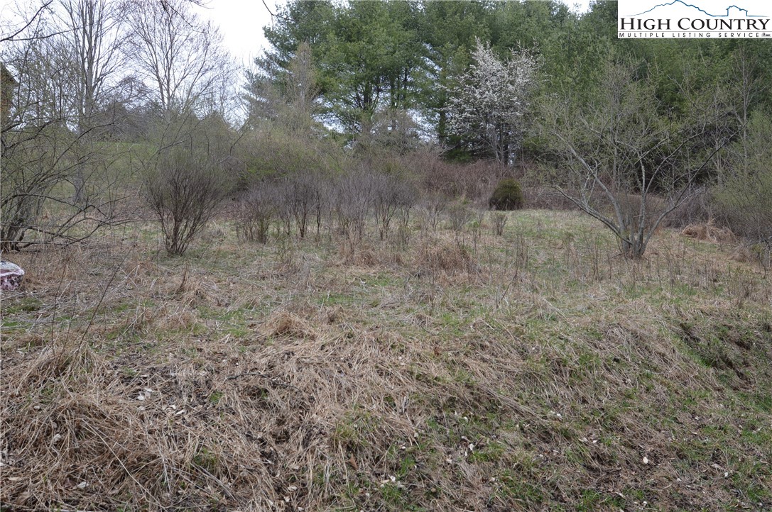 Lot #33 Georginia Way Property Photo 1