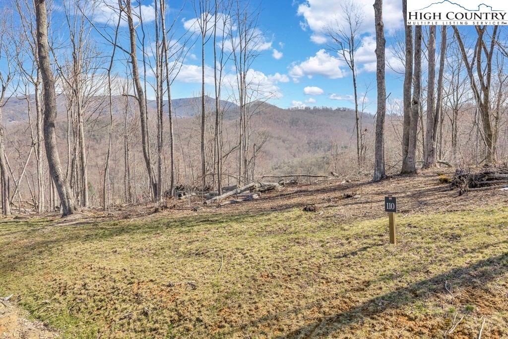 110 Blacksmith Circle Property Photo 1