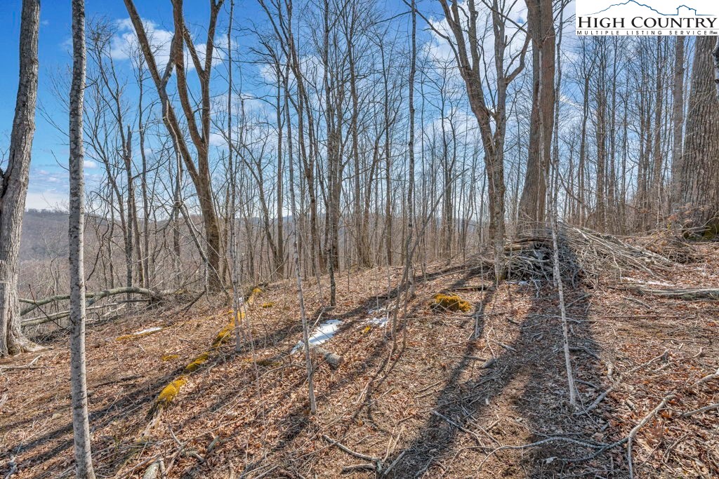 110 Blacksmith Circle Property Photo 6