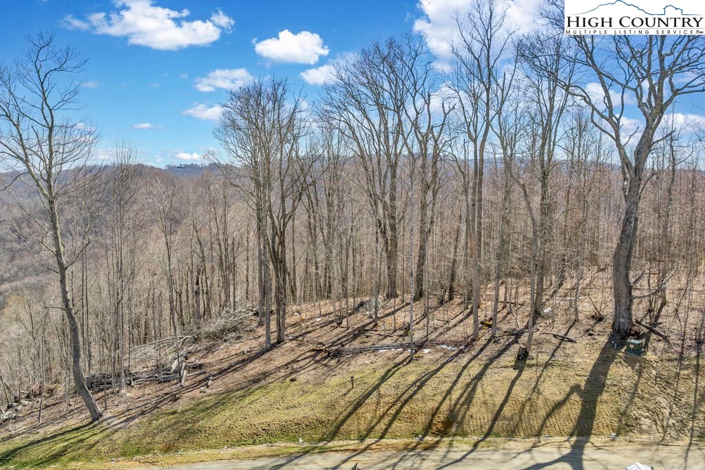 110 Blacksmith Circle Property Photo 11