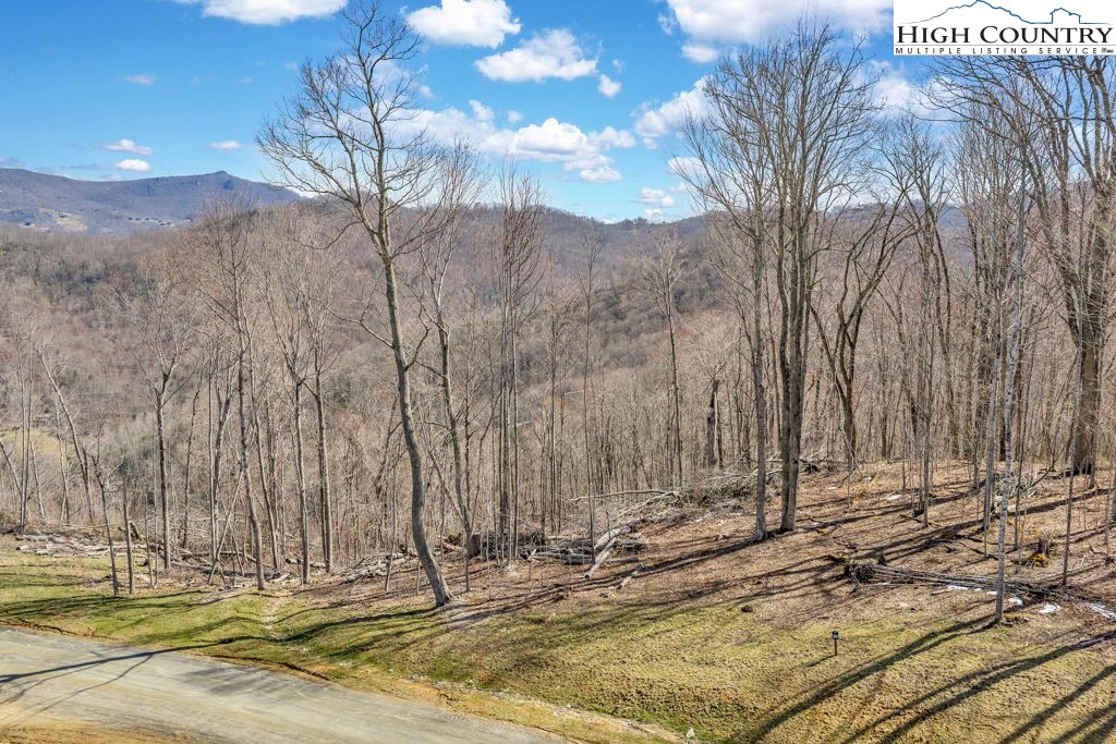 110 Blacksmith Circle Property Photo 12