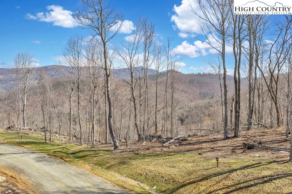 110 Blacksmith Circle Property Photo 15