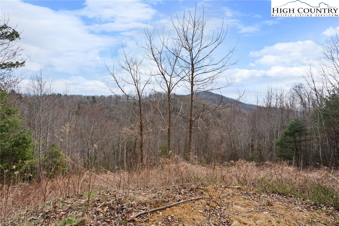 Lot 27 Hollowcrest Property Photo 4