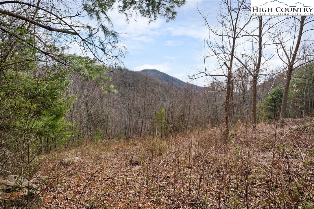 Lot 27 Hollowcrest Property Photo 6