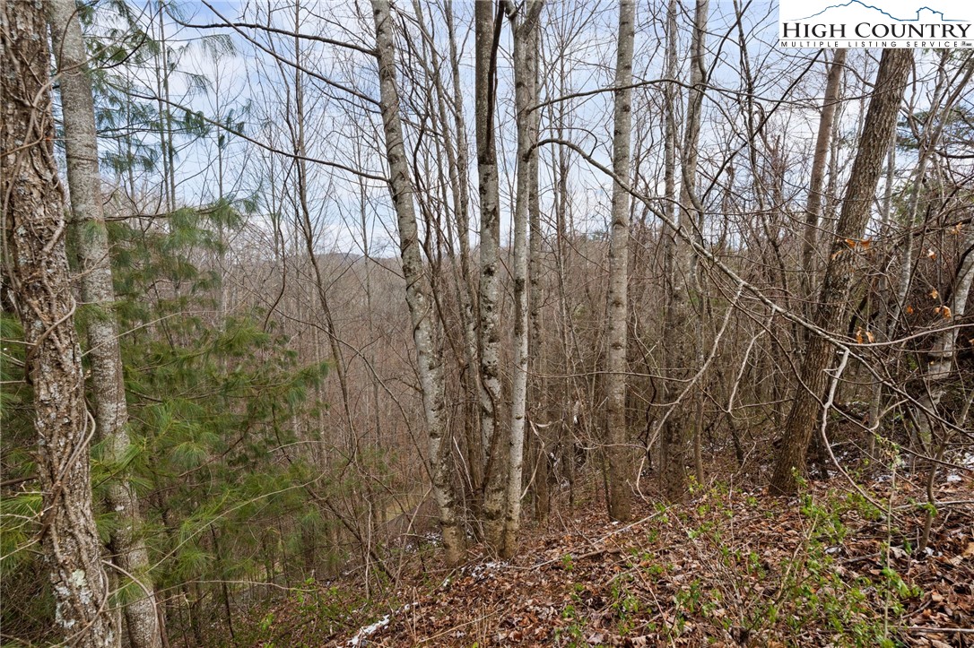 Lot 27 Hollowcrest Property Photo 9