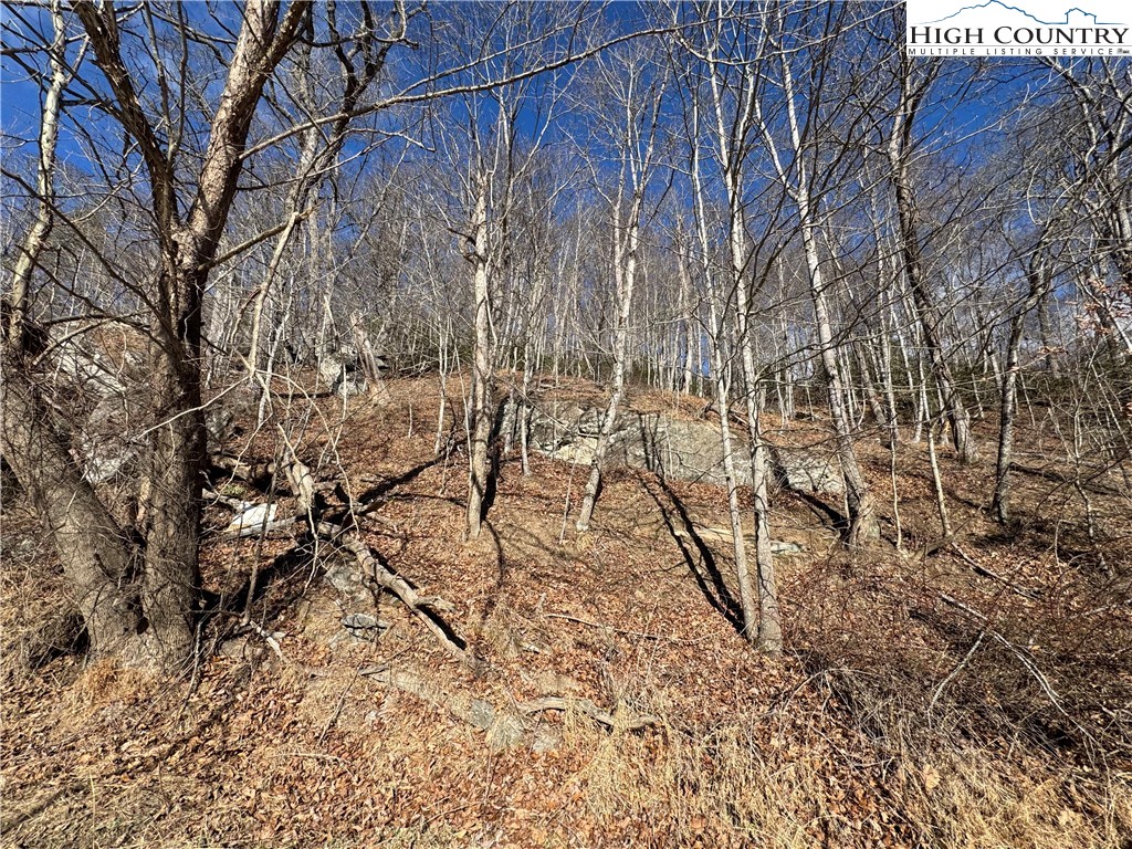 Lot 7 & 8 Happy Hunt Drive Property Photo 6
