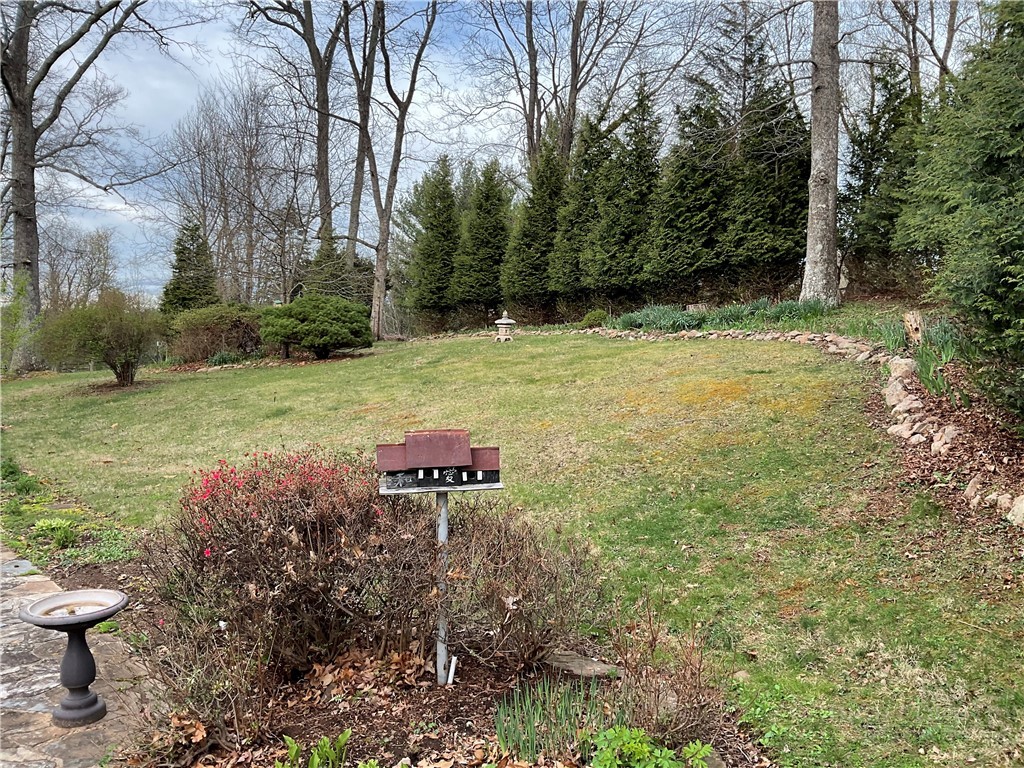 3162 Chestnut Grove Church Road Property Photo 45