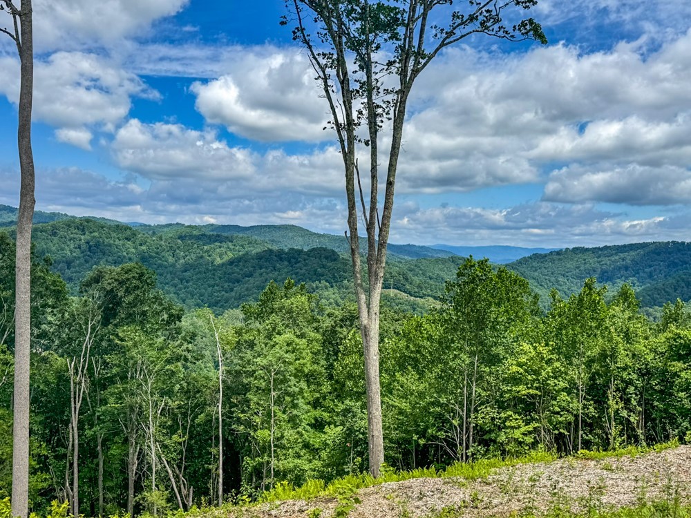 Tbd Pinnacle View Property Photo 1