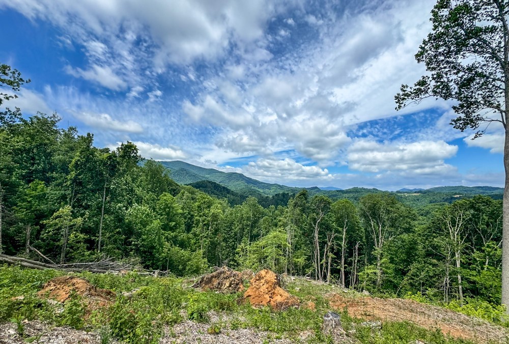 Tbd Pinnacle View Property Photo 2