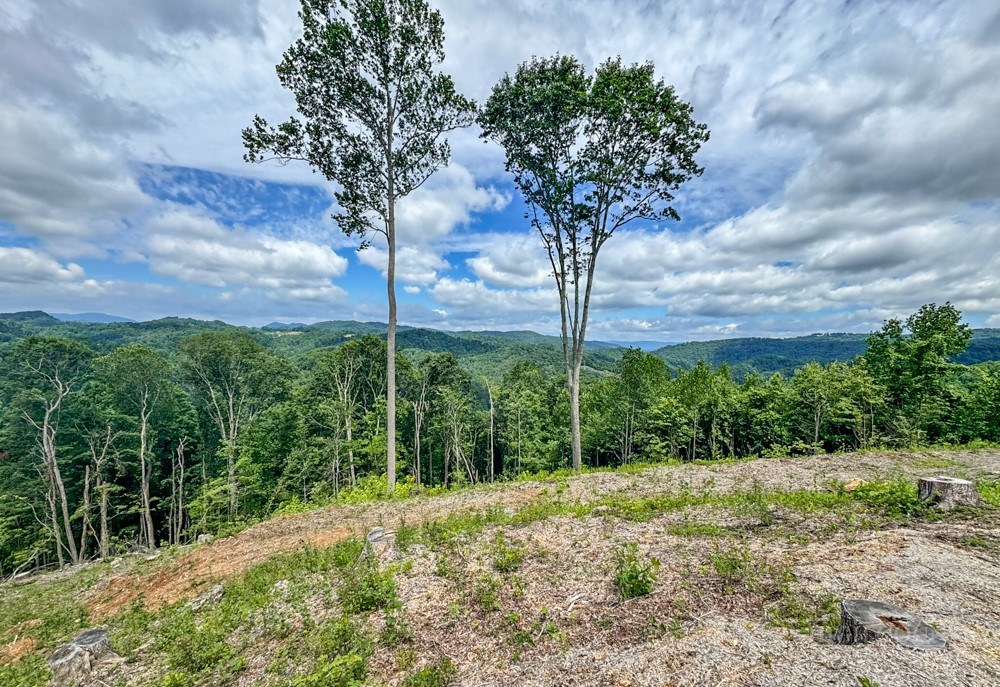 Tbd Pinnacle View Property Photo 5