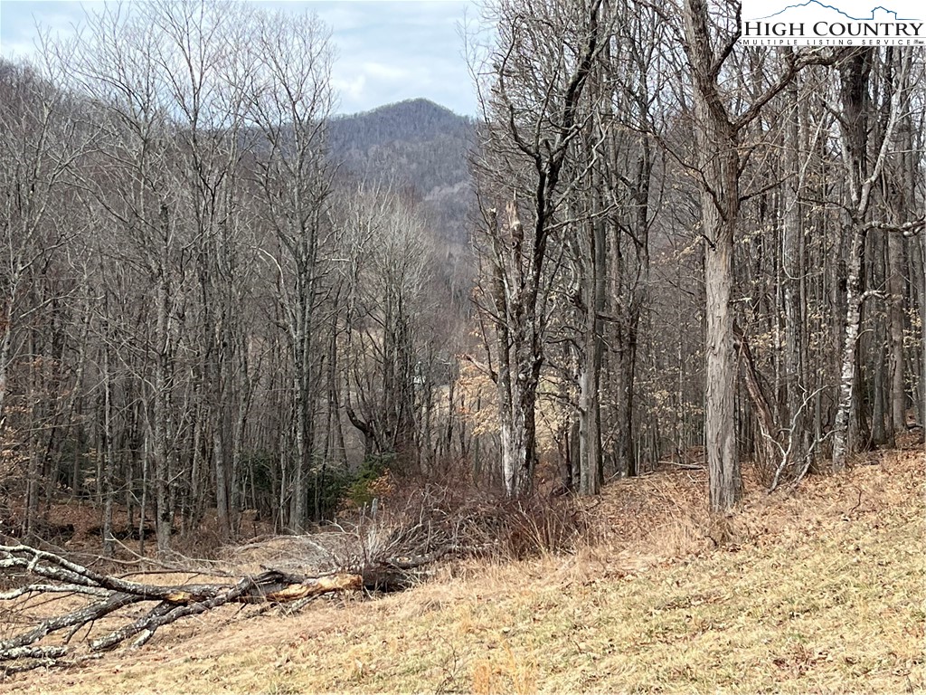 Lot 38 Poplar Forest Drive Property Photo 1