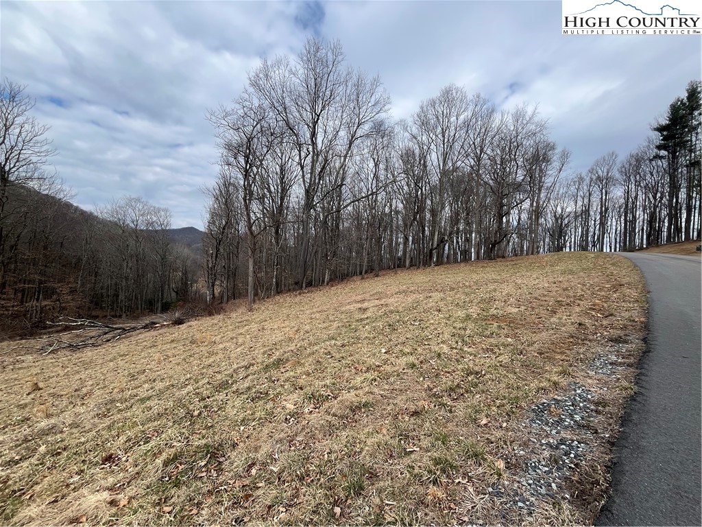 Lot 38 Poplar Forest Drive Property Photo 4