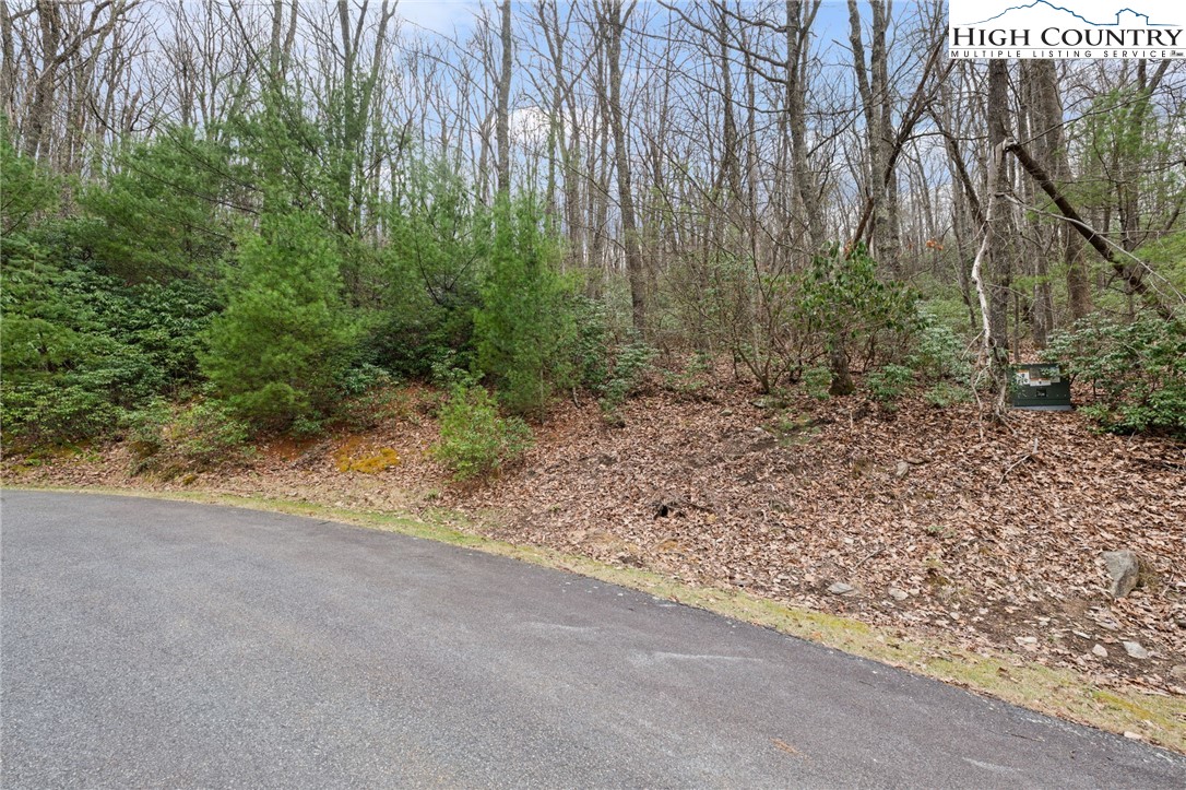 Lot 8 Upper Rainbow Ridge Drive Property Photo 6