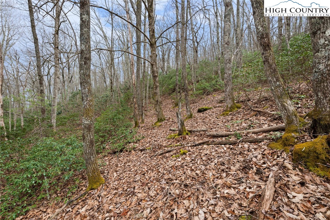 Lot 8 Upper Rainbow Ridge Drive Property Photo 7