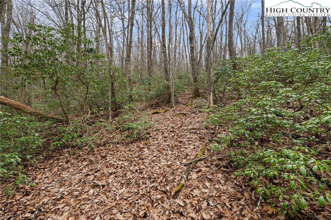 Lot 8 Upper Rainbow Ridge Drive Property Photo 8