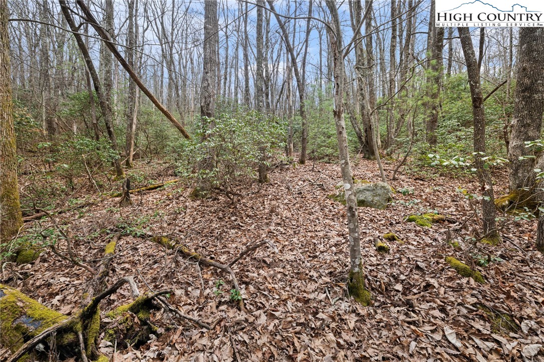 Lot 8 Upper Rainbow Ridge Drive Property Photo 9