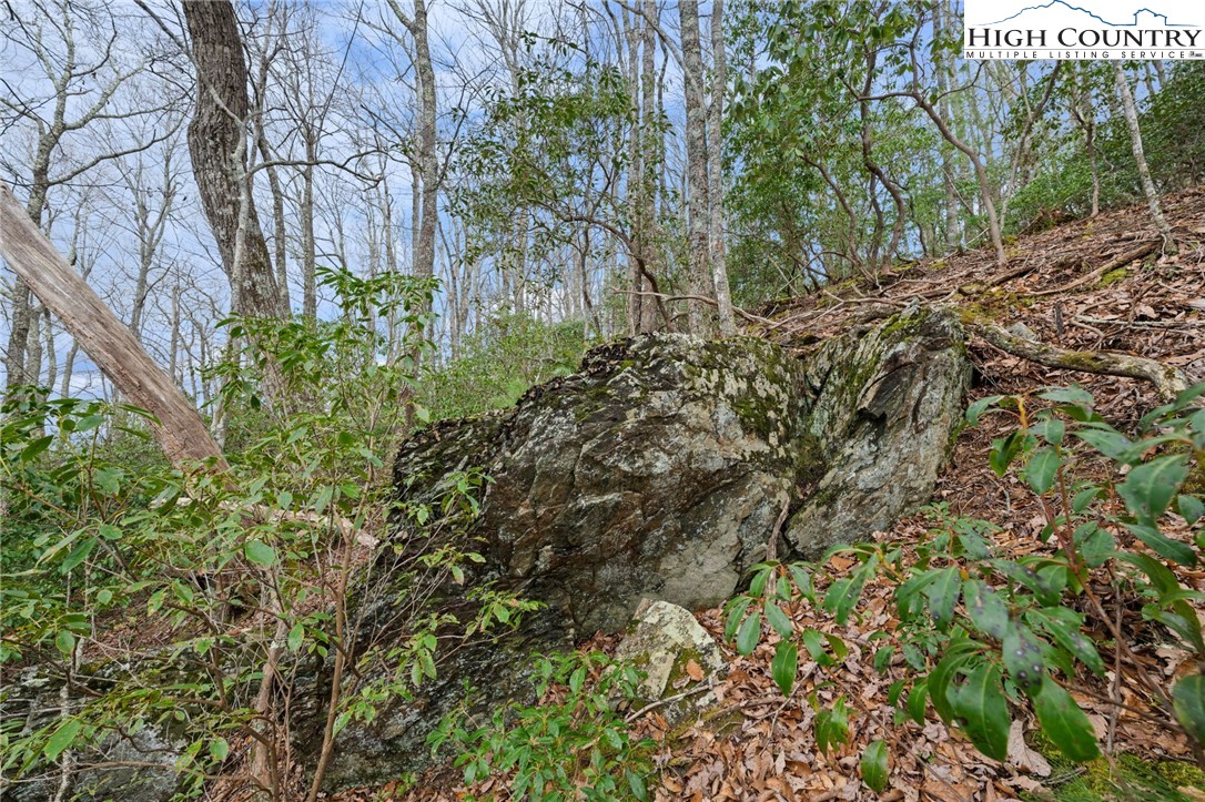 Lot 8 Upper Rainbow Ridge Drive Property Photo 10