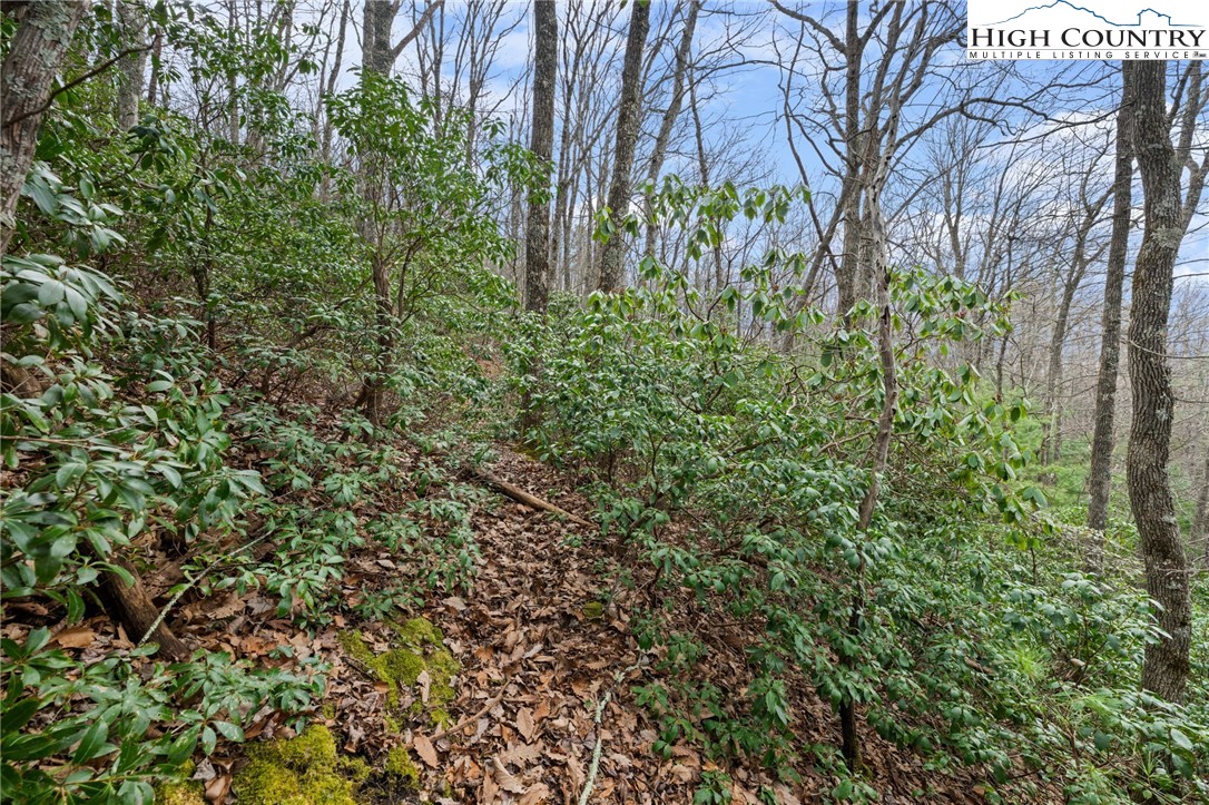 Lot 8 Upper Rainbow Ridge Drive Property Photo 11