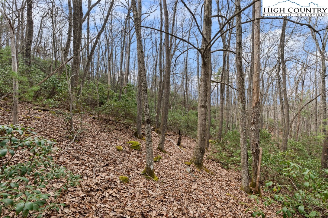 Lot 8 Upper Rainbow Ridge Drive Property Photo 12