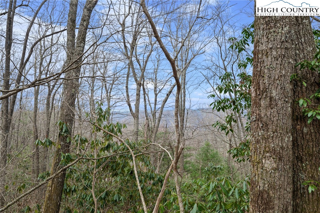 Lot 8 Upper Rainbow Ridge Drive Property Photo 13
