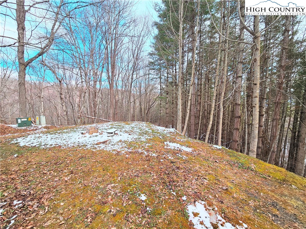 Tbd W Mill Creek Rd Property Photo 3