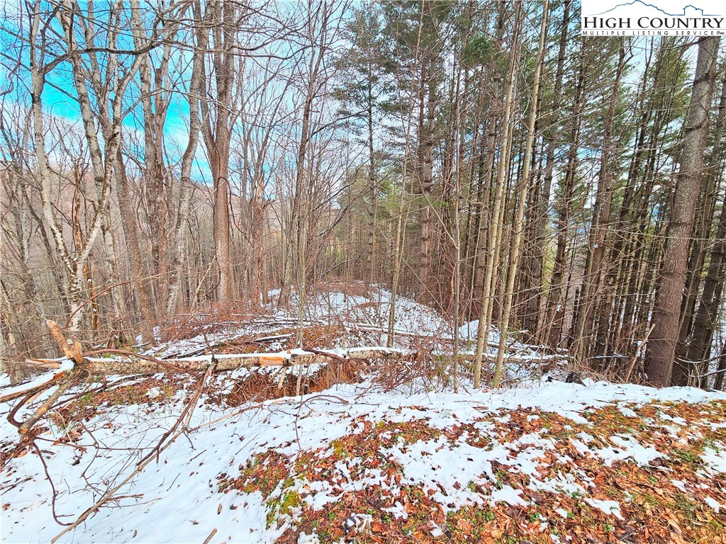 Tbd W Mill Creek Rd Property Photo 4