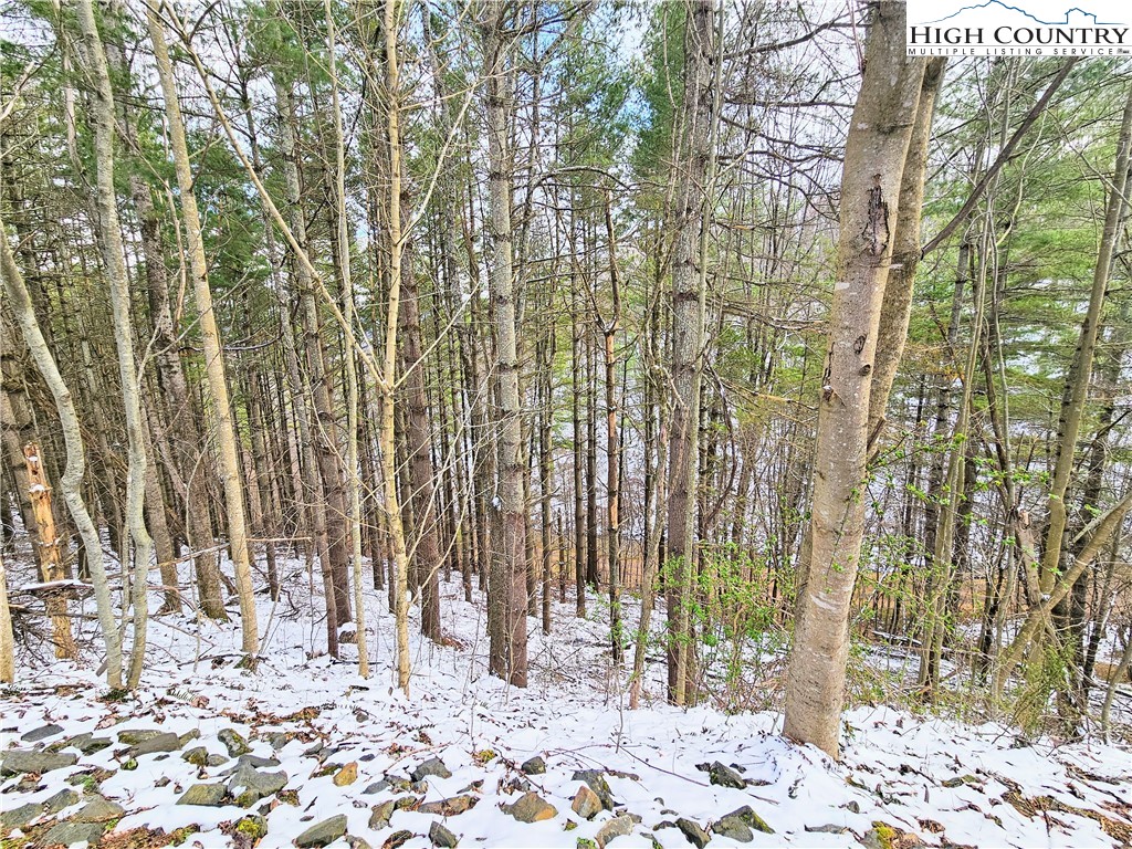 Tbd W Mill Creek Rd Property Photo 5