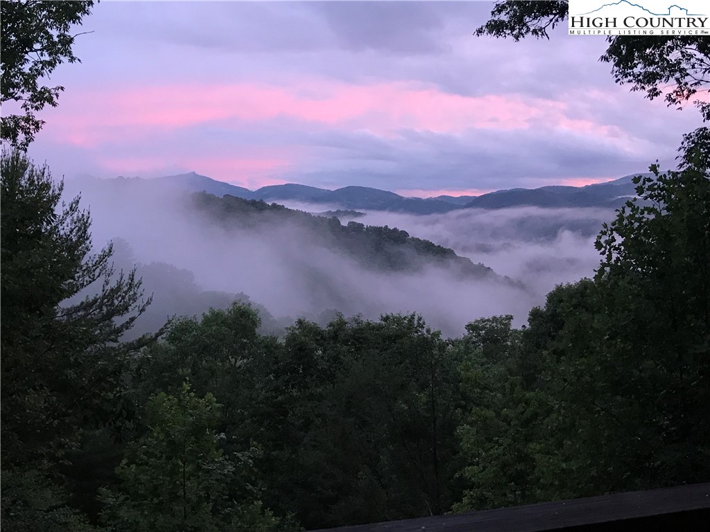 315 Lazy Bear Trail Property Photo 2