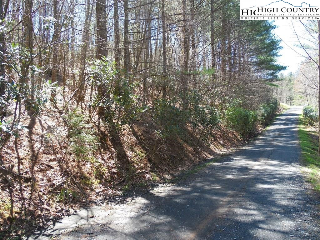 Lot 62 Sams Drive Property Photo 1