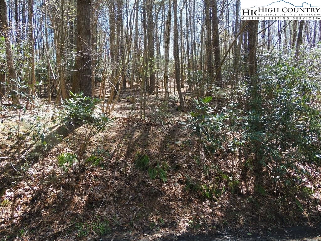 Lot 62 Sams Drive Property Photo 2