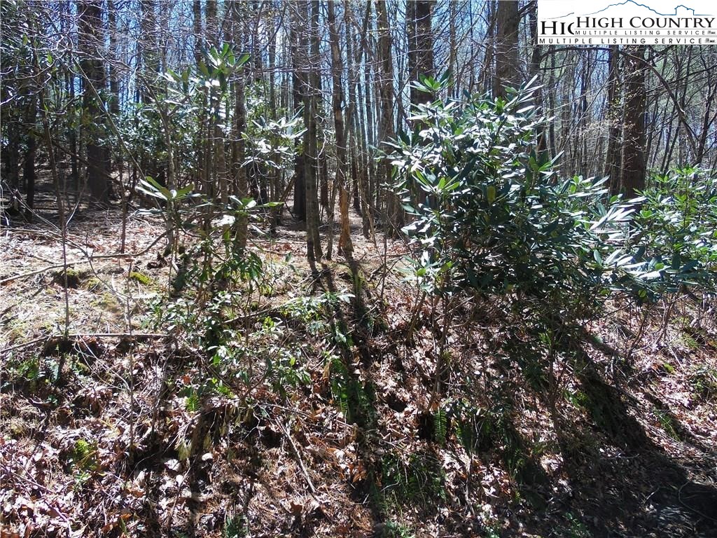 Lot 62 Sams Drive Property Photo 3