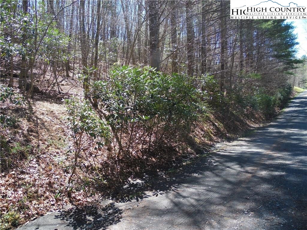 Lot 62 Sams Drive Property Photo 4