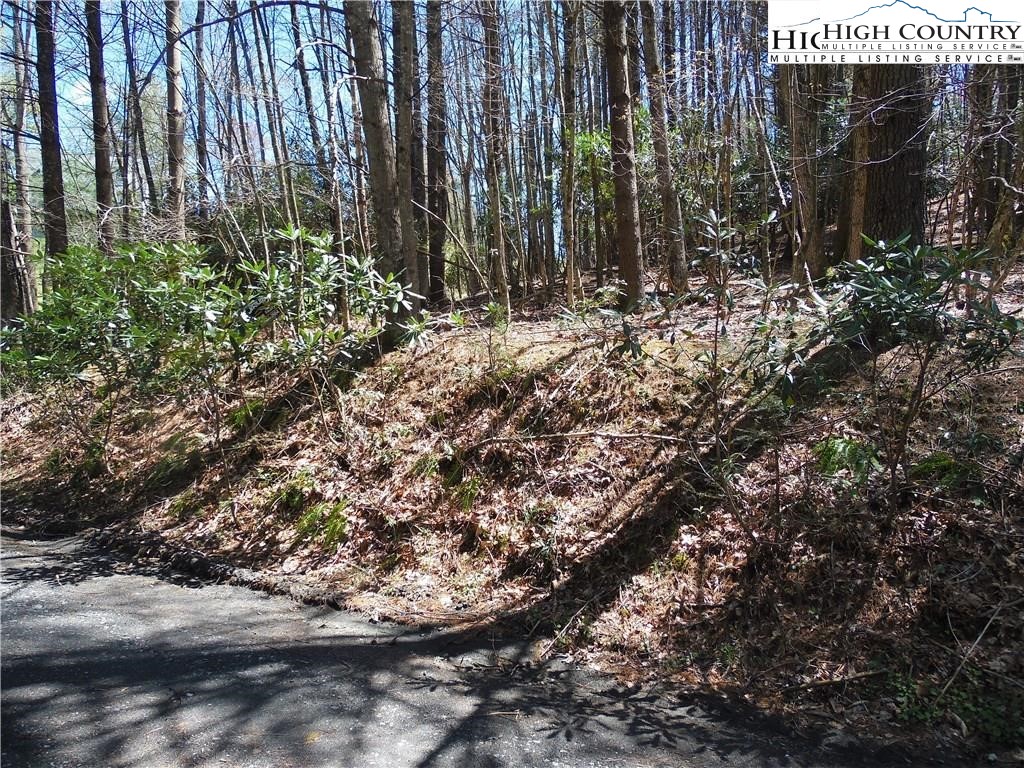 Lot 62 Sams Drive Property Photo 5