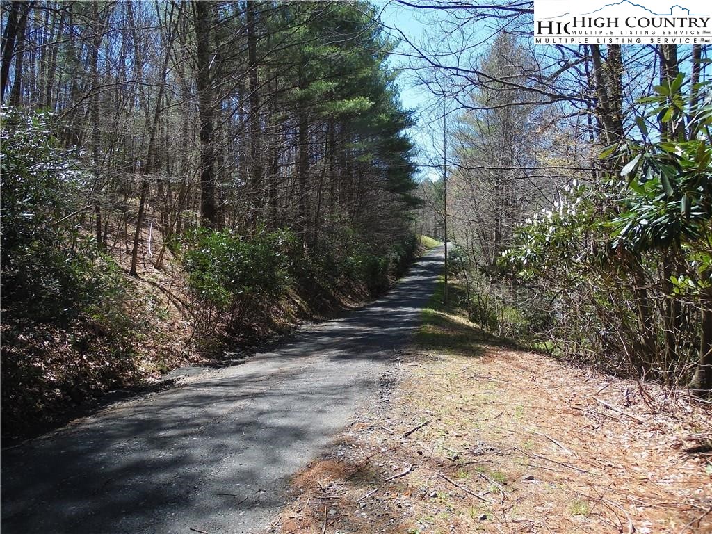 Lot 62 Sams Drive Property Photo 6