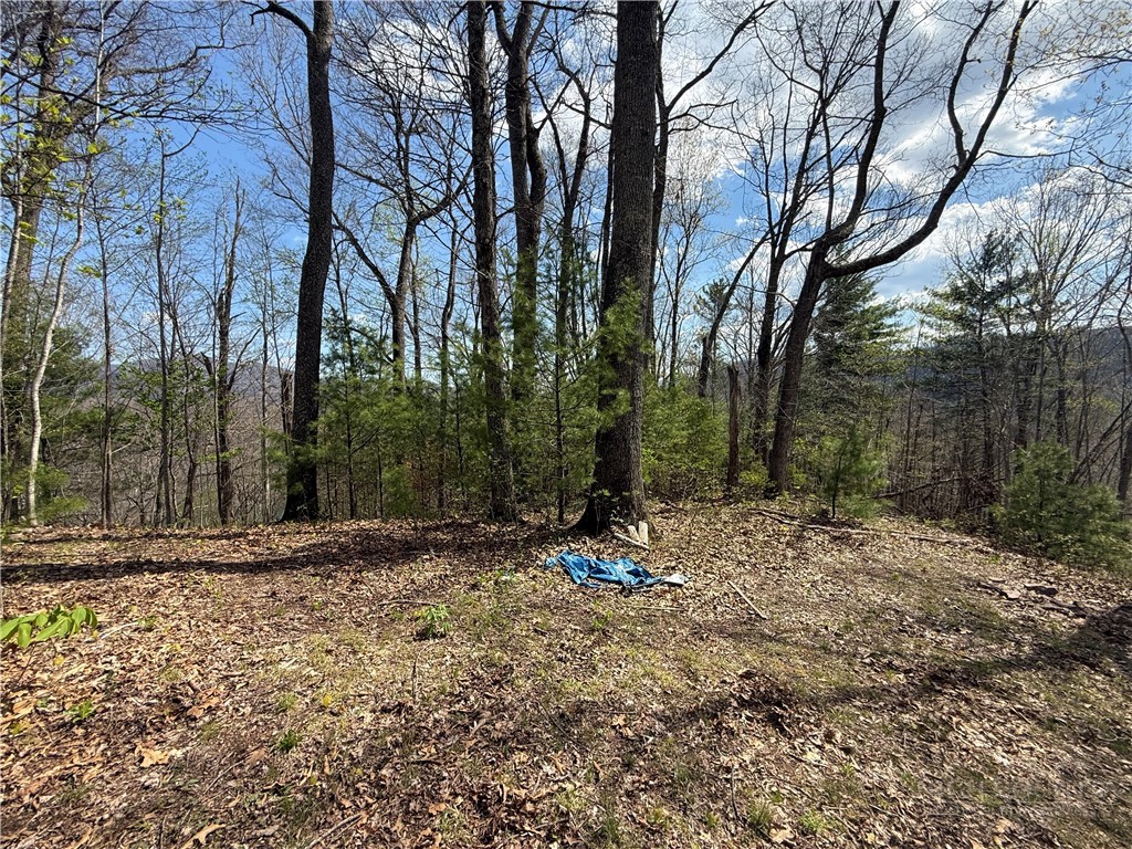 Tbd Lonesome Pine Trail Property Photo 2
