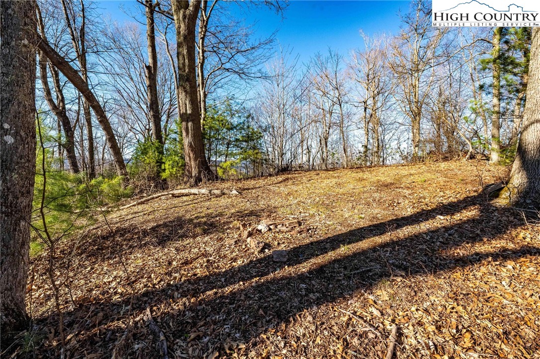 Tbd Lonesome Pine Trail Property Photo 5
