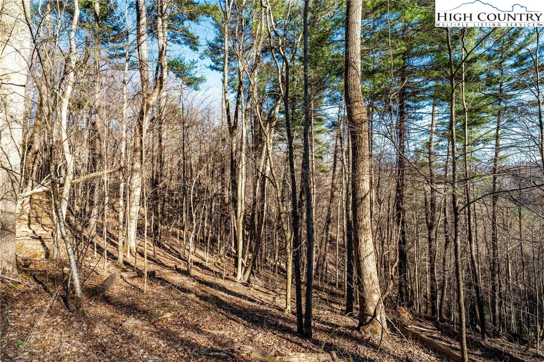 Tbd Lonesome Pine Trail Property Photo 18
