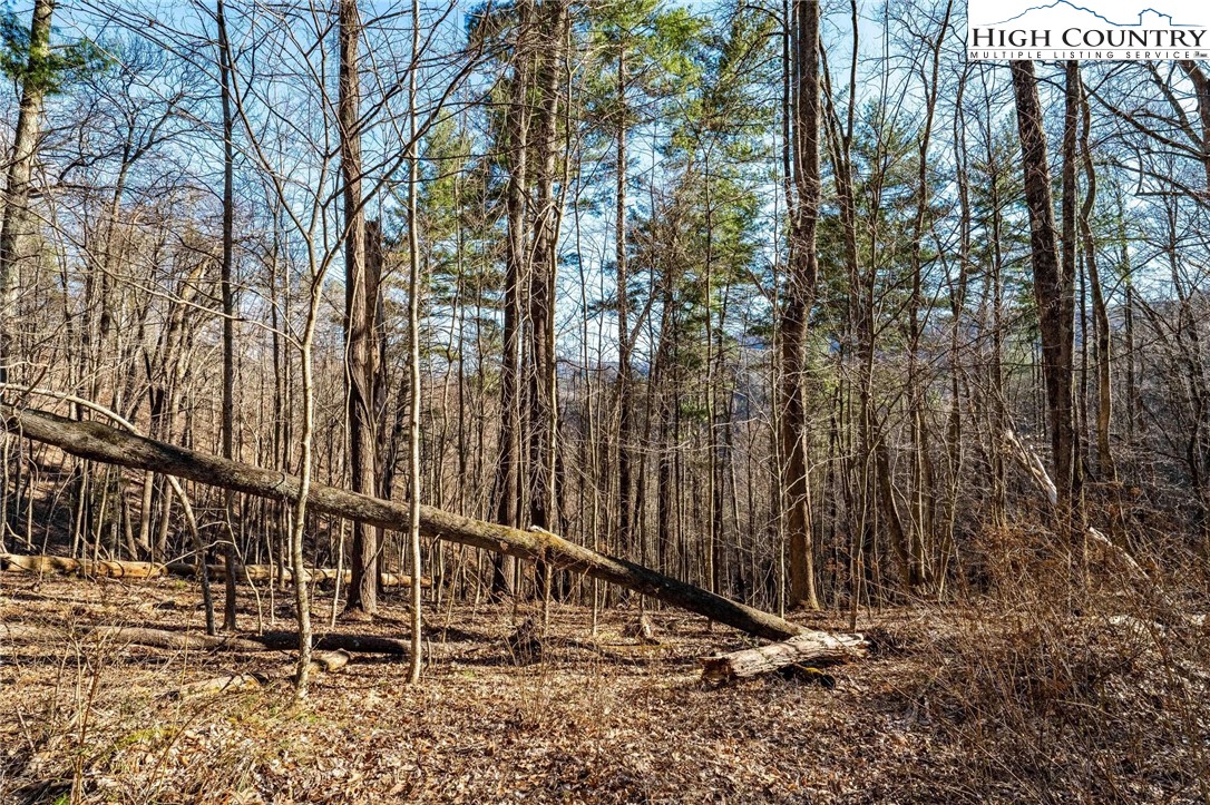 Tbd Lonesome Pine Trail Property Photo 19
